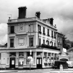 The Oak W12