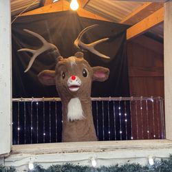 Shipshewana's Lights of Joy - Singing reindeer display