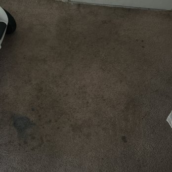 Gables of Troy - This is the carpet when I moved in they attempted to clean it it's not fluffy or anything. Like walking on a hard surface. - Apartments Near Me - Troy, Michigan