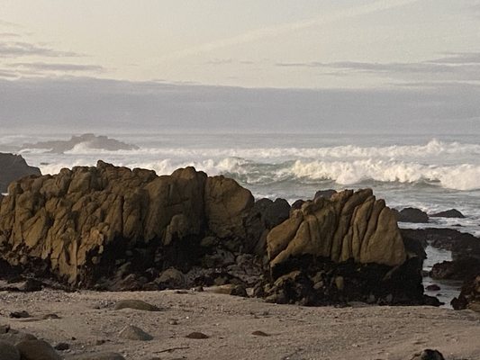 Asilomar State Beach by null