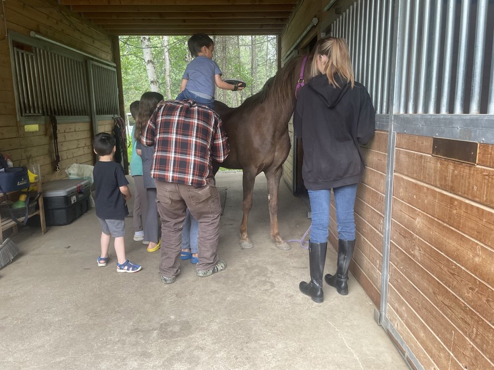 McCormick Equestrian - equestrian in Anchorage, AK