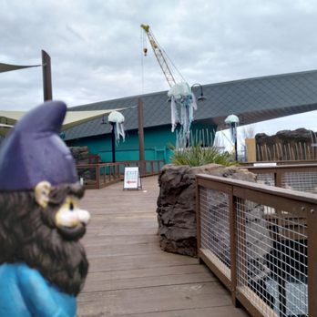 Mississippi Aquarium - Aquariums Near Me - Gulfport, Mississippi
