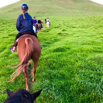 Paniolo Adventures - Horseback Riding Near Me Paniolo Adventures - Horseback Riding Near Me