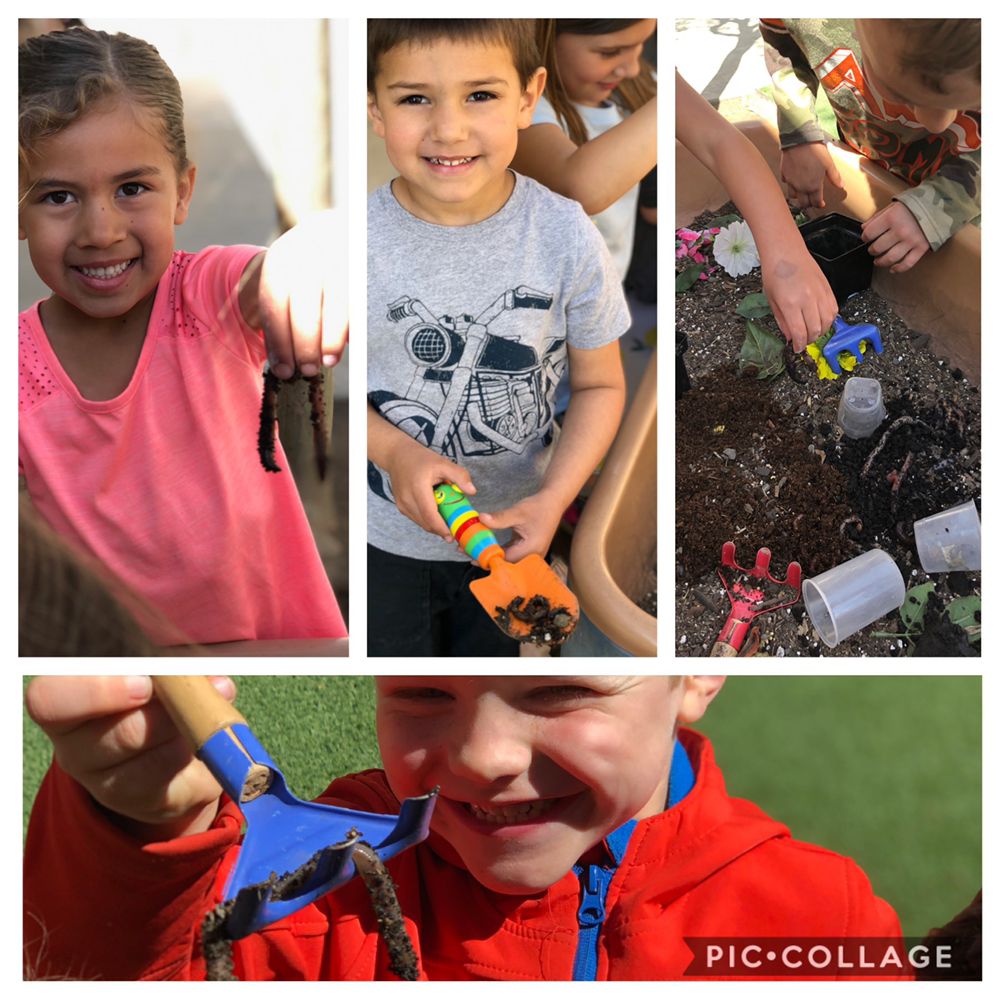 Where The Garden Grows - childcare center in Fresno, CA