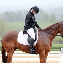 Scattered Acres Sport Horses - A rider completing her dressage test during a downpour.