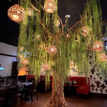 D' La Santa - How fun is this?! Beautiful! - Mexican Near Me - Seattle, Washington D' La Santa - How fun is this?! Beautiful! - Mexican Near Me - Seattle, Washington