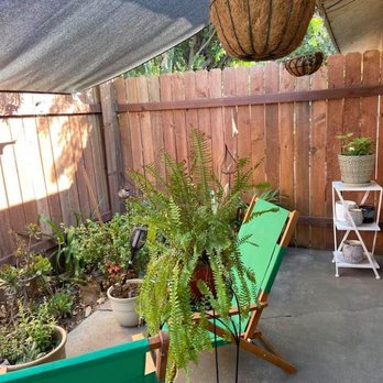 Hawes Real Estate Property Management - Summer backyard - fence was replaced about 3 years ago. - Property Management Near Me - Upland, California Hawes Real Estate Property Management - Summer backyard - fence was replaced about 3 years ago. - Property Management Near Me - Upland, California