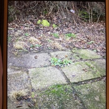 Lumos Real Estate - Dog poop on my patio from neighbor - Property Management Near Me - Pittsburgh, Pennsylvania Lumos Real Estate - Dog poop on my patio from neighbor - Property Management Near Me - Pittsburgh, Pennsylvania