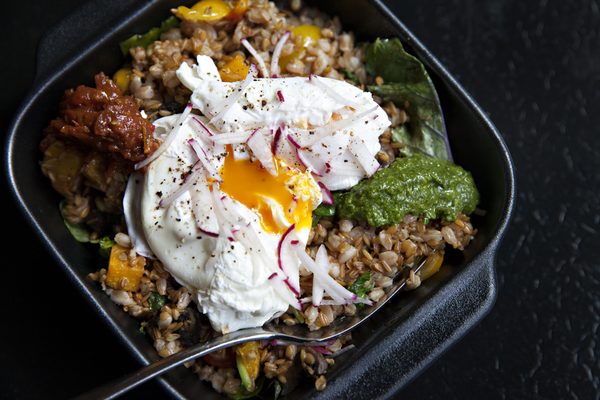 Farmers Kitchen + Bar by null