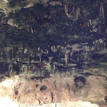 Cenote Zaci - Swimming Pools Near Me - Valladolid, YUC Cenote Zaci - Swimming Pools Near Me - Valladolid, YUC