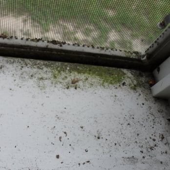 Twiddy - THE FILTH AND FECAL MATTER!!!!!!!!!!!!!! - Vacation Rentals Near Me - Duck, North Carolina Twiddy - THE FILTH AND FECAL MATTER!!!!!!!!!!!!!! - Vacation Rentals Near Me - Duck, North Carolina
