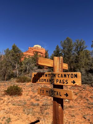 Boynton Canyon Trail by null