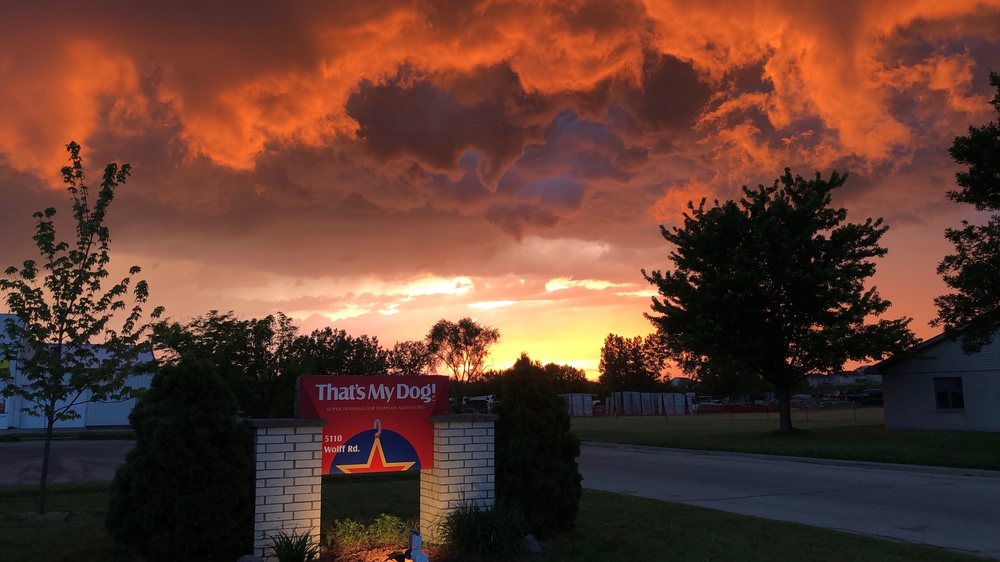 THAT’S MY DOG Updated September 2024 19 Photos 5110 Wolff Rd, Dubuque, Iowa Pet Training