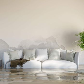 Restore Wizard - Damage Restoration Near Me - Price, Utah Restore Wizard - Damage Restoration Near Me - Price, Utah