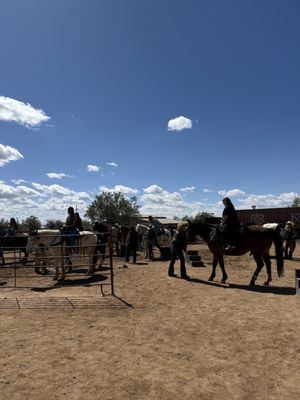 MacDonald's Ranch by null