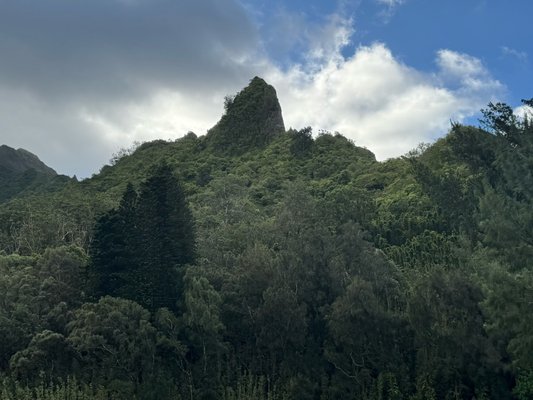 Nuʻuanu Pali Lookout by null
