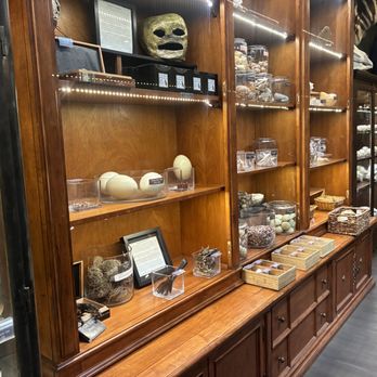 Curious Nature - Antiques Near Me - Phoenix, Arizona