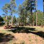 Photo of Jacob Lake Campground