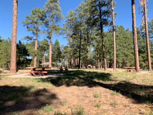 Jacob Lake Campground by null
