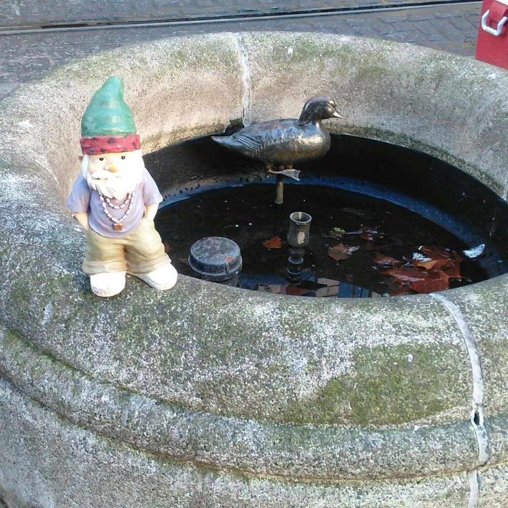 Animals In Pools - Landmarks & Historical Buildings Near Me - Portland, Oregon Animals In Pools - Landmarks & Historical Buildings Near Me - Portland, Oregon