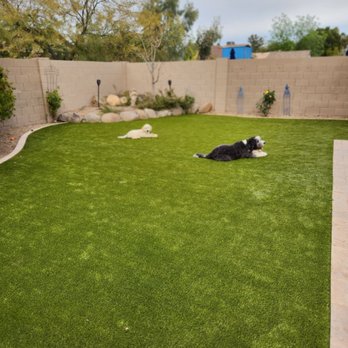 ForeverLawn East Valley - Artificial Turf Near Me - Gilbert, Arizona ForeverLawn East Valley - Artificial Turf Near Me - Gilbert, Arizona