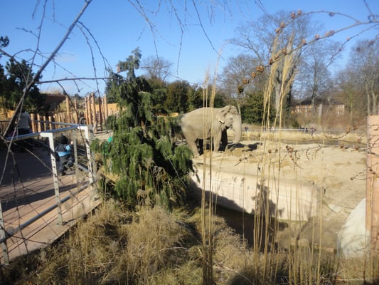 Copenhagen Zoo by null