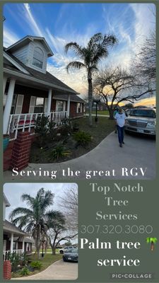 TOP NOTCH TREE SERVICES - Updated August 2025 - 11 Photos - Los Fresnos ...