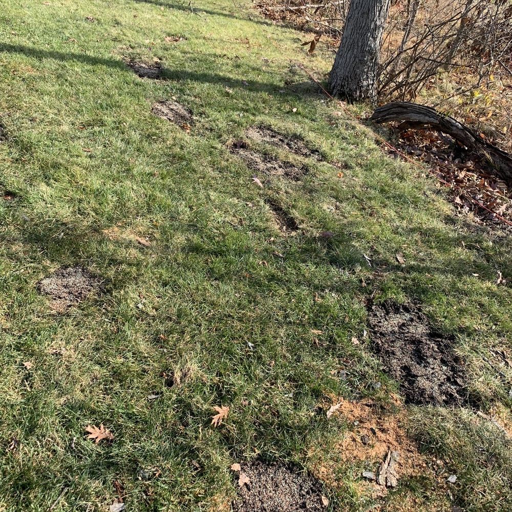 R & T Tree Experts - Tree Services Near Me - Fort Wayne, Indiana R & T Tree Experts - Tree Services Near Me - Fort Wayne, Indiana