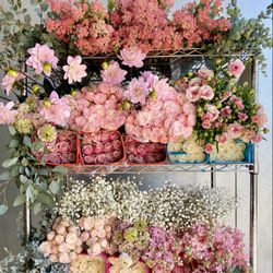 Ramirez Wholesale Flowers - Blooming Pinks   Amazed by the beautiful garden roses & spray roses we have been getting in and so happy to see rice flowers & dahlias!
