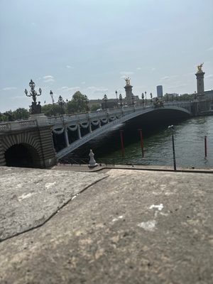 Pont Alexandre III by null