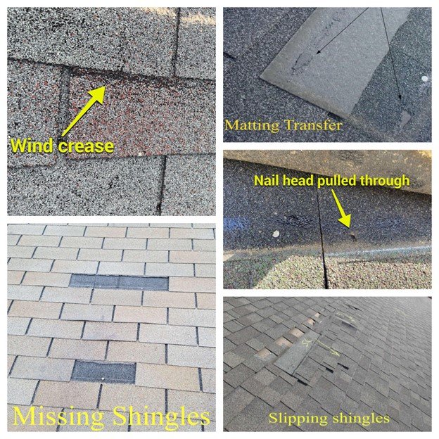 Slide of Oscar & Rosa