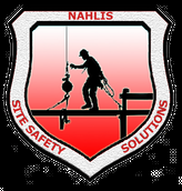 Nahlis Safety Solutions - safety consultant in San Benito, TX