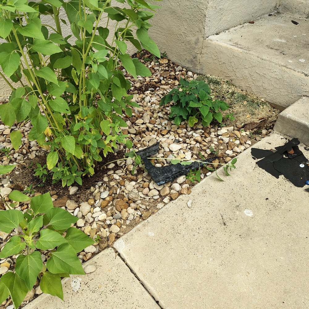 Malachi Roofing - Roofing material discarded on the plants damaging/breaking despite being asked multiple times to be careful. - Roofing Near Me - Cedar Park, Texas Malachi Roofing - Roofing material discarded on the plants damaging/breaking despite being asked multiple times to be careful. - Roofing Near Me - Cedar Park, Texas
