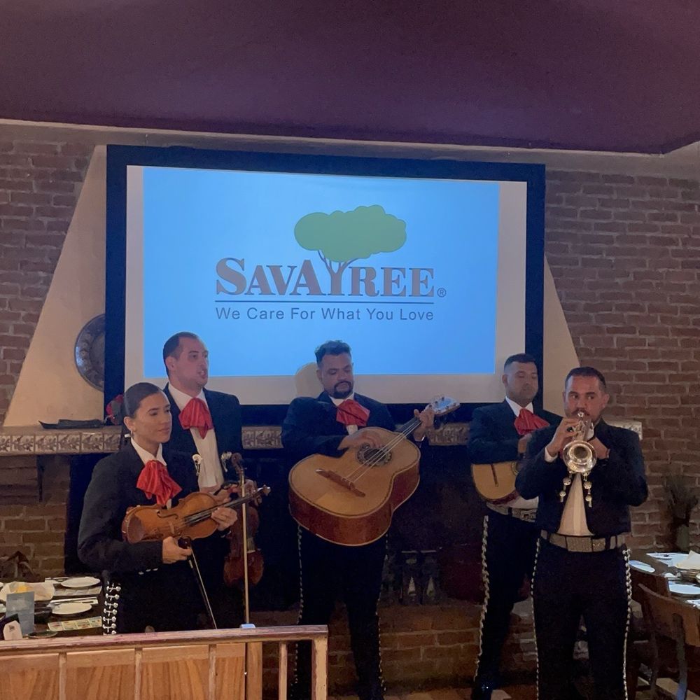 mariachi mariachi