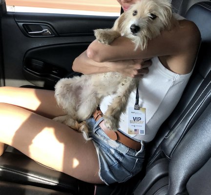 AUSTIN ANIMAL CENTER - Updated September 2025 - 177 Photos & 244