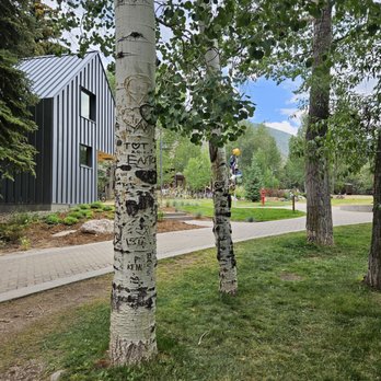Betty Ford Alpine Gardens - Botanical Gardens Near Me - Vail, Colorado