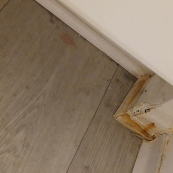 55+ FountainGlen Temecula - Rotten smelly mold-infested baseboards - Apartments Near Me - Temecula, California 55+ FountainGlen Temecula - Rotten smelly mold-infested baseboards - Apartments Near Me - Temecula, California
