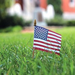 NaturaLawn of America