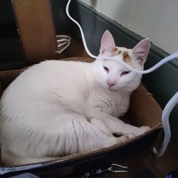 Animal Health Care Center - Pudden relaxing
