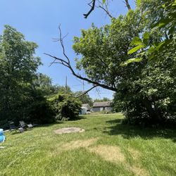 Thornbury Tree Lawn Care