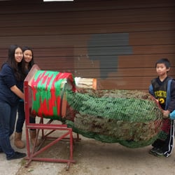 Tim's Christmas Trees