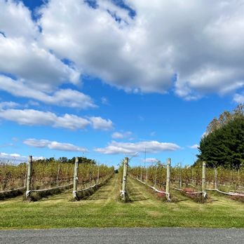 Harford Vineyard & Winery - Wineries Near Me - Forest Hill, Maryland Harford Vineyard & Winery - Wineries Near Me - Forest Hill, Maryland