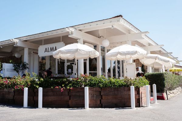 Alma Fonda Fina by null