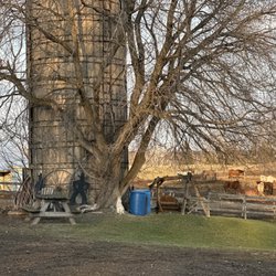 Timberline Ranch - Horse barn, and pasture