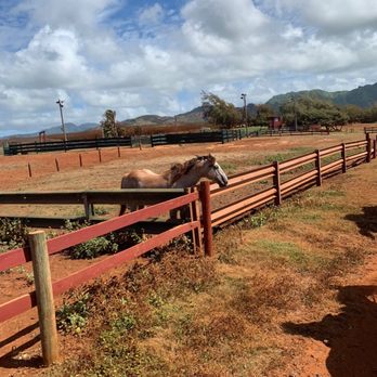 CJM Stables - Horseback Riding Near Me