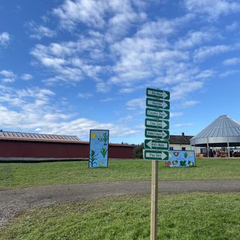 Bob's Corn & Pumpkin Farm - Pumpkin Patches Near Me - Snohomish, Washington