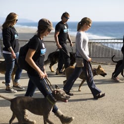 American Canine Institute - Idaho - Group Class out for a walk by the Beach from one of our California offices