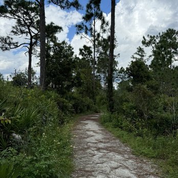 Seminole County-Econ River Wilderness Area - Trail - Parks Near Me - Oviedo, Florida Seminole County-Econ River Wilderness Area - Trail - Parks Near Me - Oviedo, Florida