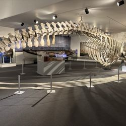 New Bedford Whaling Museum