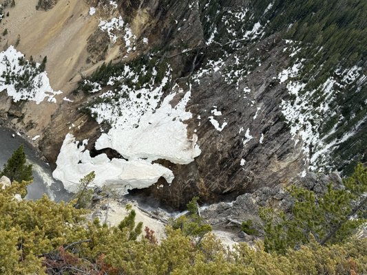 Grand Canyon of the Yellowstone by null